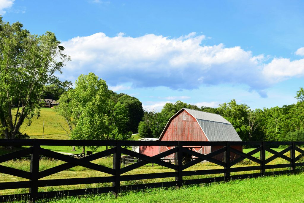 Beitragsbild von Hallo Welt